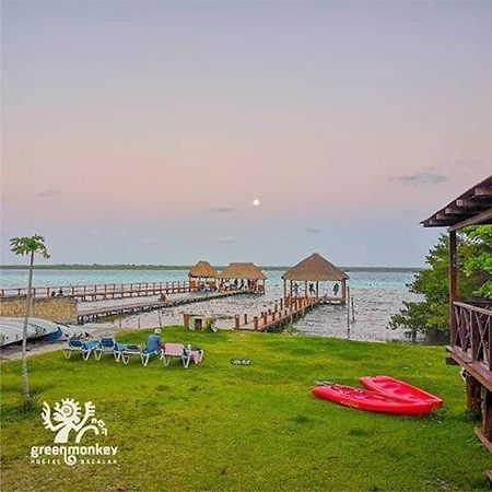 Green Monkey Hostel Bacalar Zewnętrze zdjęcie