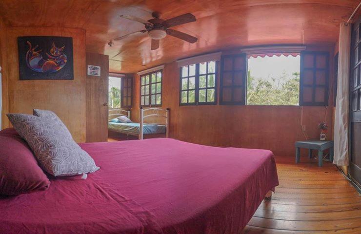 Green Monkey Hostel Bacalar Zewnętrze zdjęcie
